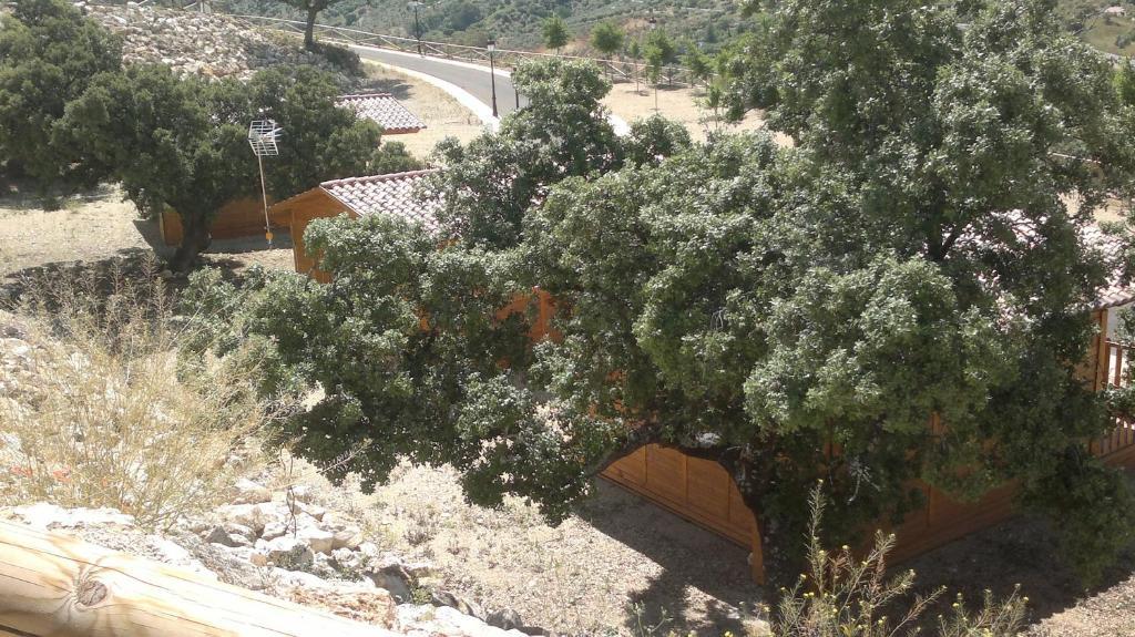 Complejo Pueblo Blanco Olvera Quarto foto