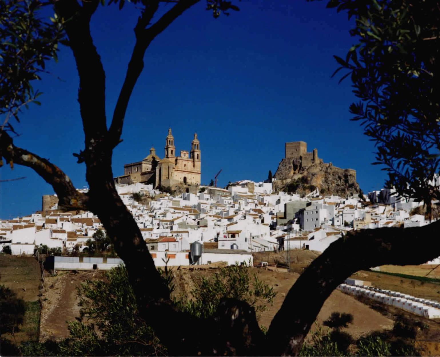 Complejo Pueblo Blanco Olvera Exterior foto