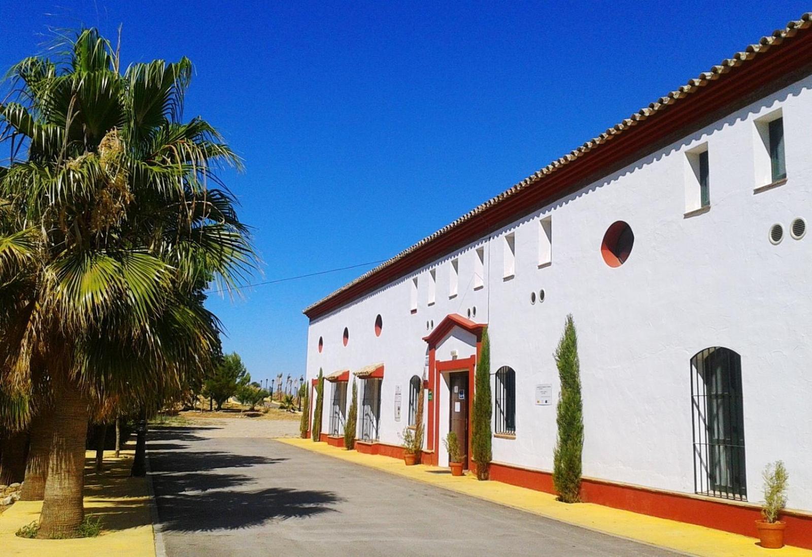Complejo Pueblo Blanco Olvera Exterior foto